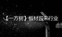 【一方树】板材迎来行业大咖，共谋发展新篇章
