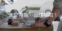 “太空养鱼”出续集啦！这次它们有重要任务→