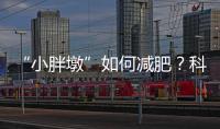 “小胖墩”如何减肥？科学减重看这里