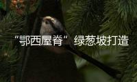 “鄂西屋脊”绿葱坡打造高山运动休闲小镇