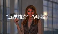 “远洋捕捞”为哪般？丨法眼