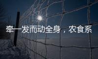 牵一发而动全身，农食系统绿色转型谁在“突围”�	？｜2024企业双碳行动力调研