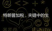 特朗普加税
	，夹缝中的生意人怎么办？