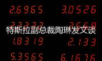 特斯拉副总裁陶琳发文谈“刹车门”：坚持做正确的事情，剩下的交给时间