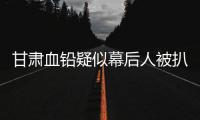 甘肃血铅疑似幕后人被扒，曾获地方女性大奖，与涉事园长关系亲属