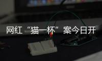 网红“猫一杯”案今日开庭，曾编造“秦朗巴黎丢寒假作业”被封号