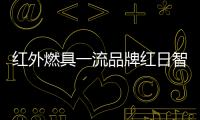 红外燃具一流品牌红日智能厨卫，全国盛大招商