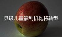 县级儿童福利机构将转型！未来工作重点在哪里？