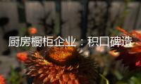 厨房橱柜企业	：积口碑造精品 重营销讲服务
