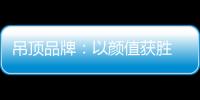 吊顶品牌
：以颜值获胜 以品质为王