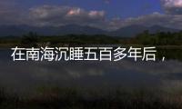 在南海沉睡五百多年后	，它们终于出水展出