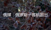 俄媒：俄罗斯一客机因出现技术故障返航