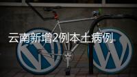 云南新增2例本土病例 为瑞丽市全员核酸检测中发现