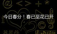 今日春分
！春已至花已开
，愿你不负好春光