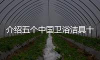 介绍五个中国卫浴洁具十大品牌