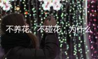 不养花�、不碰花，为什么还会花粉过敏
？