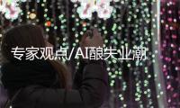 专家观点/AI酿失业潮
？ 新蓝海待掘金