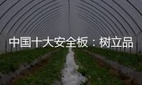中国十大安全板�
：树立品牌形象 健康发展