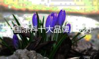 中国涂料十大品牌
�：选好网购平台 为发展做铺垫