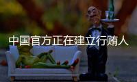 中国官方正在建立行贿人“黑名单”制度