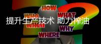 提升生产技术 助力榨油机行业走致富之路