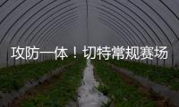 攻防一体！切特常规赛场均15分8板2.2帽 季后赛15.2分8.7板1.9帽