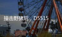 撞击野猪后，D5515动车机械师的致命检修