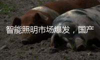 智能照明市场爆发
�，国产驱动IC厂商快速崛起