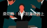 桑切斯：帕尔默是世界上最好的球员，他的发挥如同魔法一样