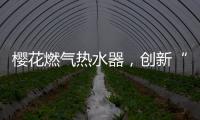 快排公司十年历程，霸屏兔 seo 的崛起与坚守