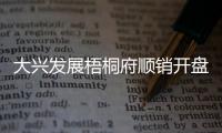 大兴发展梧桐府顺销开盘	，38套认购、均价4.3万/平
