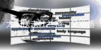 快排公司十年历程，霸屏兔 seo 的崛起与坚守