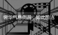 奢华气息侧漏，如此简洁竟还显得这么高贵!