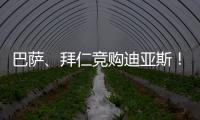 快排公司十年历程，霸屏兔 seo 的崛起与坚守