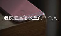 退税进度怎么查询？个人所得税汇算热点问答来啦！