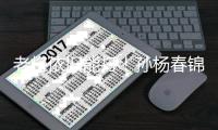 老将依旧能打	！孙杨春锦赛男子400米自由泳摘银