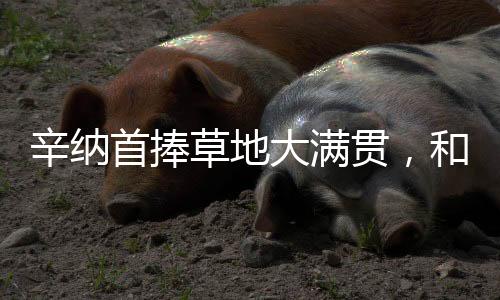 辛纳辛纳错失了冠军赛点