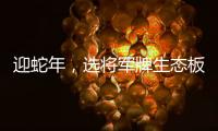 迎蛇年，选将军牌生态板，共筑健康环保家居梦