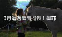 3月遭遇盂唇撕裂！墨菲谈恢复：已进行技术训练 在等身体对抗许可