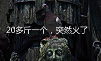 20多斤一个，突然火了�！杭州一菜场摊主�：没有现货，隔两天就有人来预订