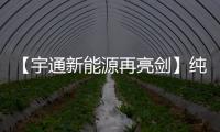 【宇通新能源再亮剑】纯电动港口轮胎起重机即将闪耀天津航运展！