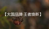 【大国品牌·王者焕新】新工艺	、新展示、新政策