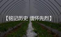 【铭记历史 缅怀先烈】广东博罗�：传承抗战精神 加快推动高质量发展