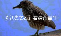 《以法之名》看清许言午的神秘身份�，才懂江敏对洪亮的算计有多狠