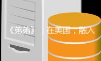 《弟弟》：在美国，融入主流是华裔少年的唯一选择吗？