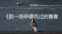 快排公司十年历程，霸屏兔 seo 的崛起与坚守