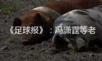 《足球报》
：冯潇霆等老将确认无缘国家队名单