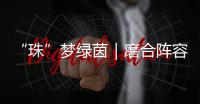 快排公司十年历程，霸屏兔 seo 的崛起与坚守