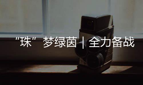 春日的珠阳光洒在绿茵场上