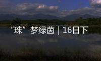 “珠”梦绿茵｜16日下午，珠海市青少年足球锦标赛决赛热血开战